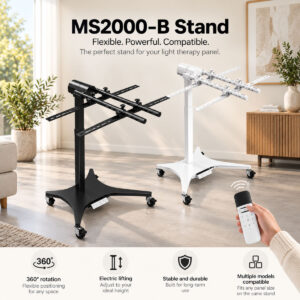 MS2000B-1